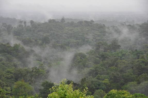 A densa e úmida mata amazônica na região de Cacao, na Guiana Francesa
